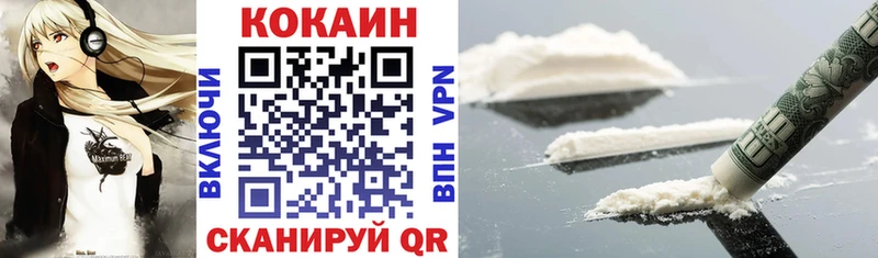 Кокаин Fish Scale  mega зеркало  Сланцы  цена  