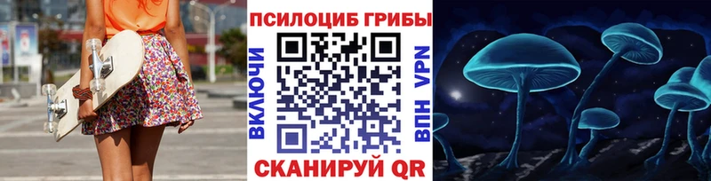 Псилоцибиновые грибы Psilocybine cubensis  Сланцы 